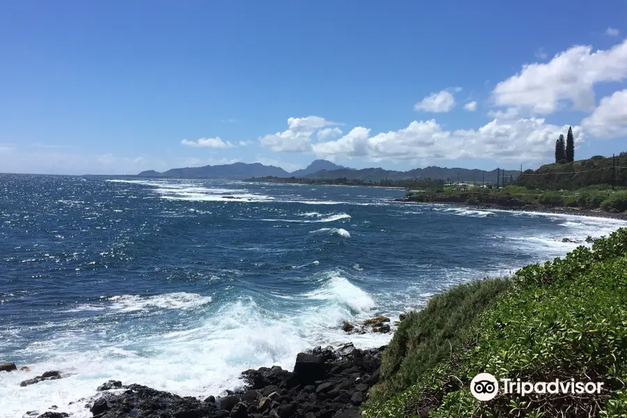 Kauai Cycle