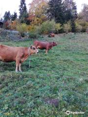 Ferme de l'Aberieux