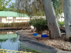 Botanical and Zoological Garden Nahariya