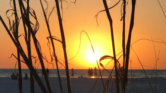 Bean Point Beach