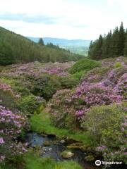 Knockmealdown Mountains