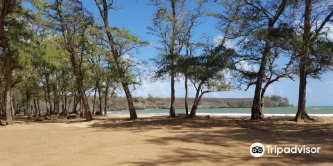 Hanamaulu Beach