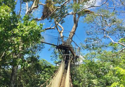 Canopy Walkway