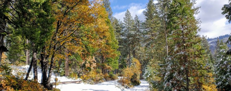 Madera County