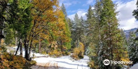 Yosemite Mountain Sugar Pine Railroad