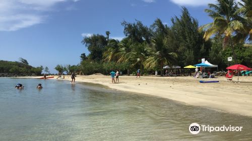 Balneario Punta Salinas