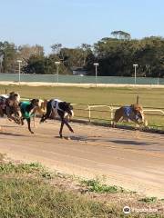 Sanford Orlando Kennel Club