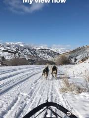 Bear Ridge Adventures (Dog Sledding)