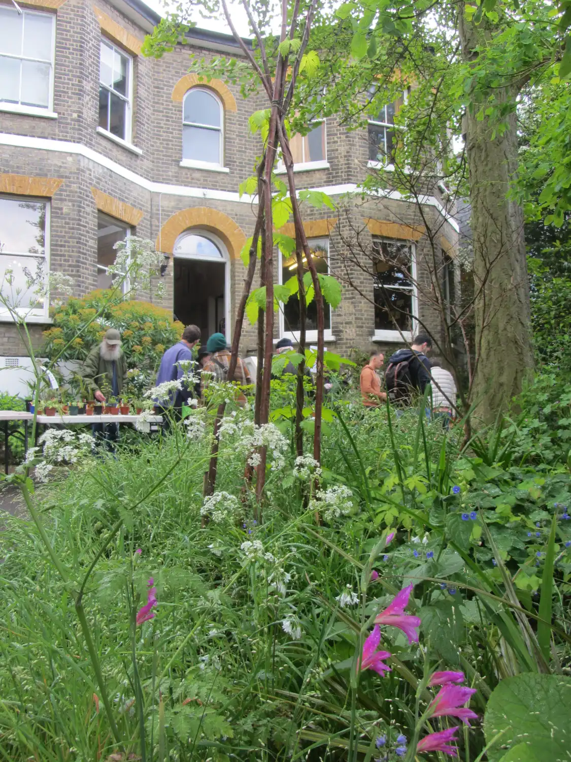 Hotels near South London Botanical Institute