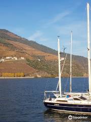 Douro à Vela