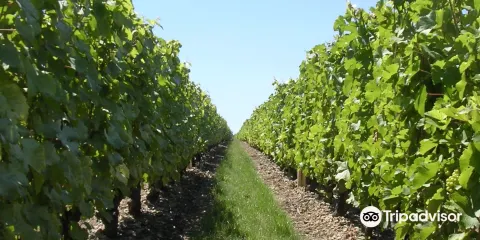 Domaine Paris, Père et Fils