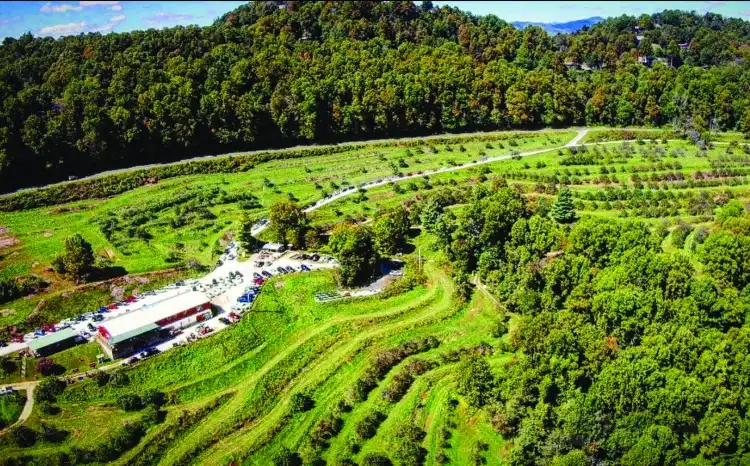Mitchell County 호텔
