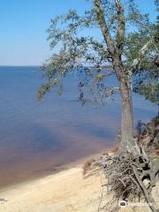 Naval Live Oaks Reservation