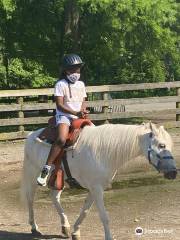 Bronx Equestrian Center, Inc.