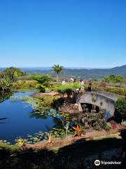 Redcliffe Botanic Gardens