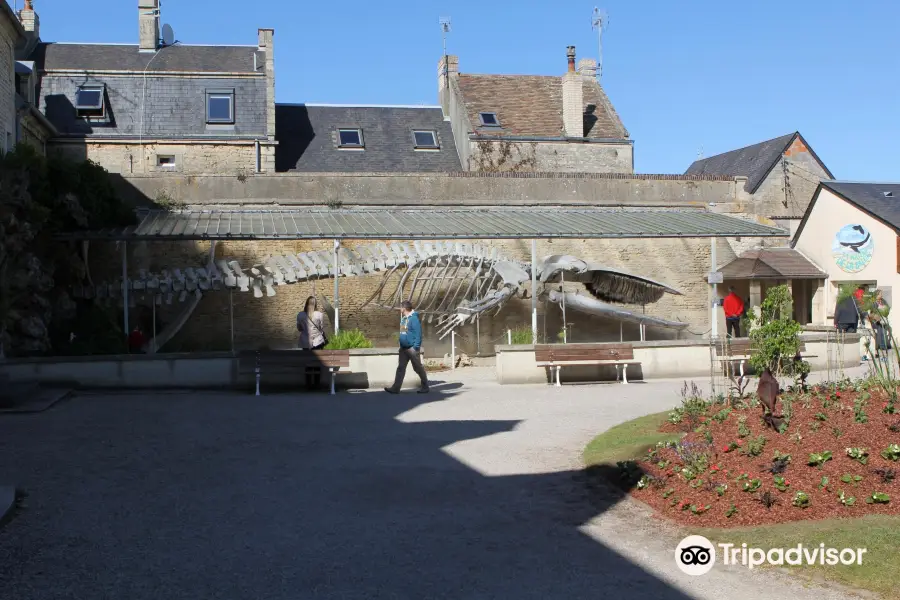 La Maison de la Baleine