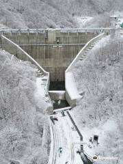 Yanagawa Dam