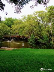 Enchanted Forest Elaine Gordon Park