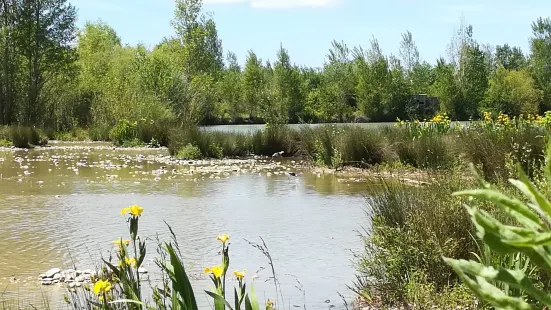 Domaine des Oiseaux