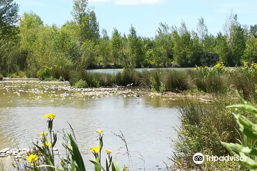 Domaine des Oiseaux