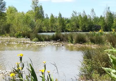 Domaine des Oiseaux