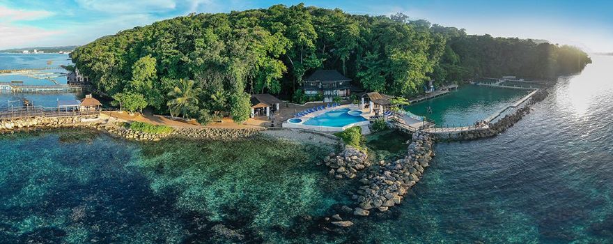 Dolphin Cove Ocho Rios