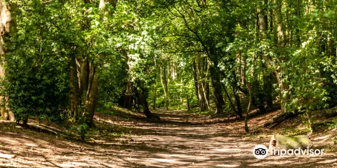 Maes-y-Pant / Marford Quarry