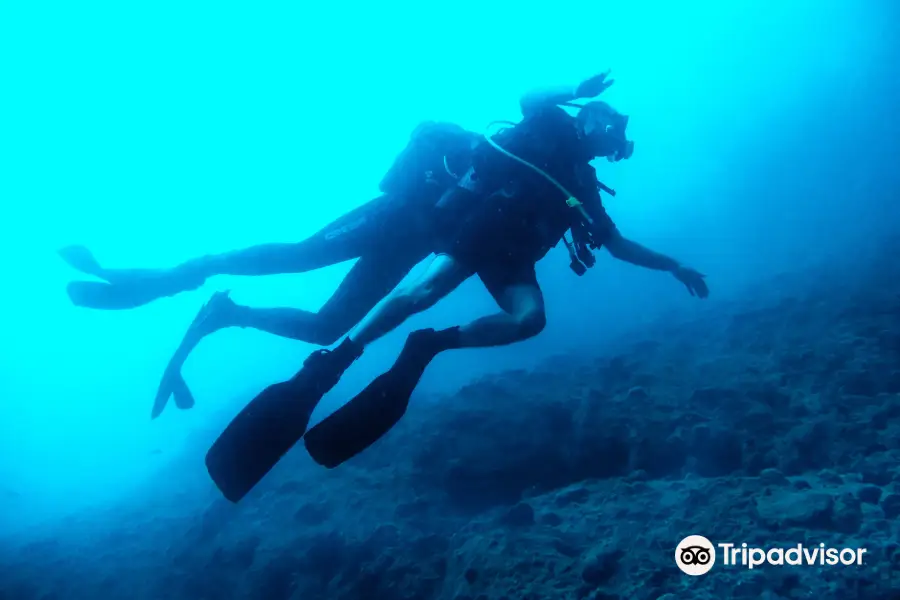 DIVING CENTER POSEIDON