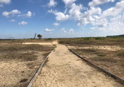 Reserve Naturelle des Pres Sales d'Ares et de Lege