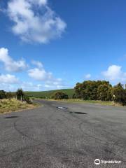 Anderson to San Remo Shared Pathway