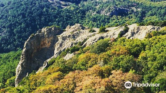 Dadia-Lefkimi-Soufli Forest National Park