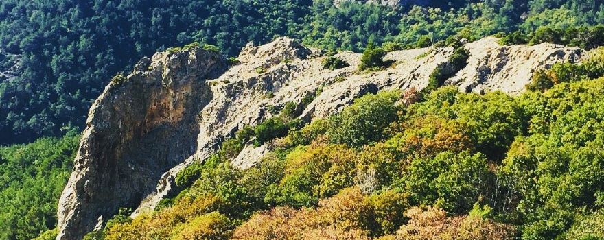 Dadia-Lefkimi-Soufli Forest National Park