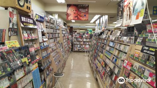 Narita Bookstore Shinmachi