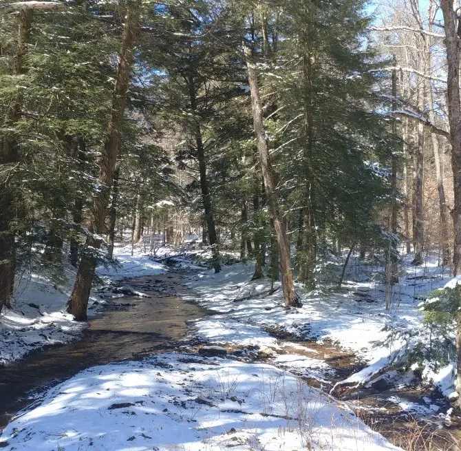 Bradford Township