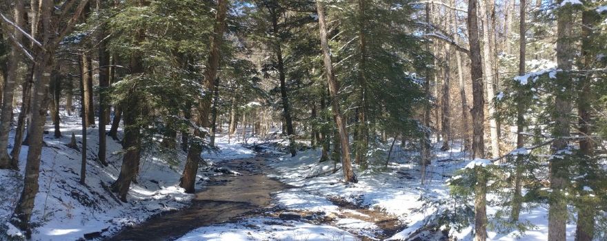 Marilla Bridges Trail