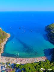 Spiaggia di Fetovaia