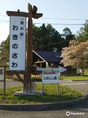 Wakinosawa Village Wild Monkey Park