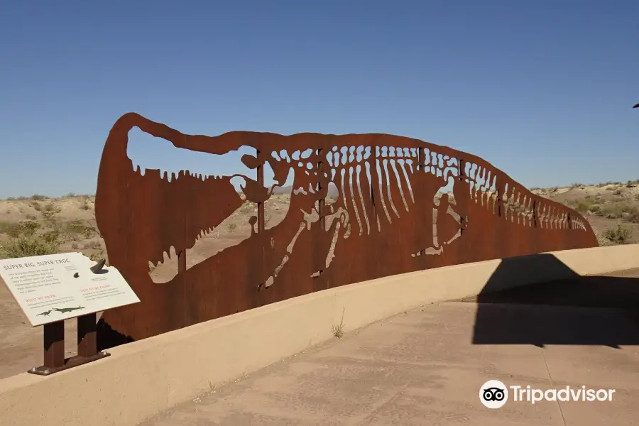 Big Bend National Park - Fossil Bone Exhibit