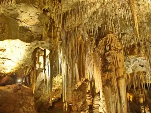 Tantanoola Caves Conservation Park