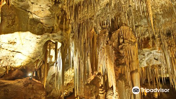 Tantanoola Caves Conservation Park