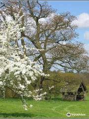 The Yorkshire Arboretum