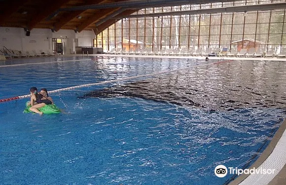 古拉哈莫盧洛伊