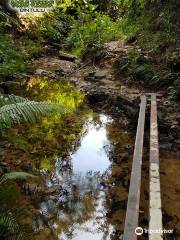 Jungle Trekking Taman Tumbina Bintulu