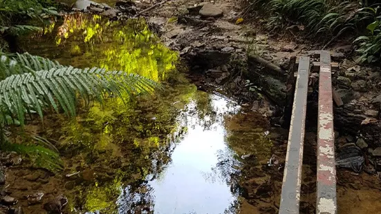 Jungle Trekking Taman Tumbina Bintulu