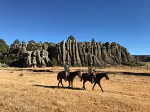 Paseos a Caballo Vaquero