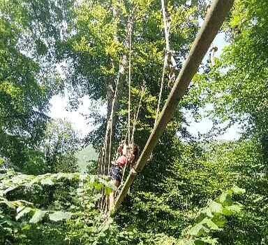 La Forêt Suspendue
