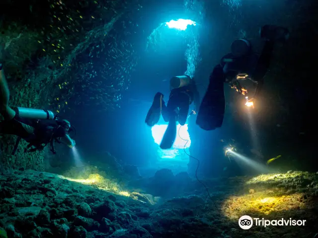 Diving in Philippines