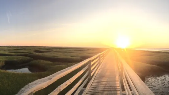 Grays Beach