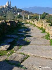 Musee des Ruines d' Hippone