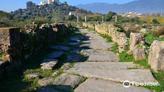 Musee des Ruines d' Hippone